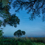 PETR JAN JURACKA - afrika botswana (5)