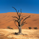 Petr-Hingar-namibie-5
