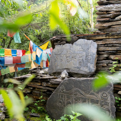 Renata Mirkova - tibet secuan (1)