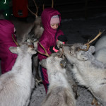 Sarka Svestkova - house sitting (7)