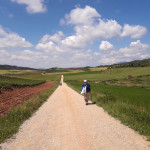 Veronika Marcikova - camino (2) Veronika Marcikova - camino (2)