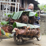 Zdenek Porkert - hory vietnamu (3)
